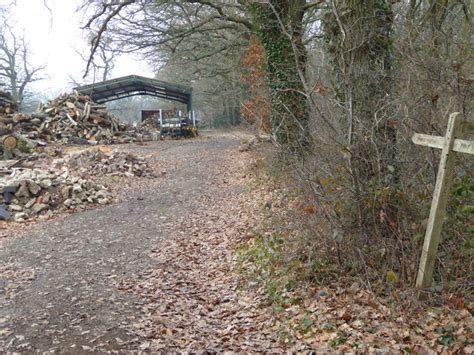 Logging Activities By The Footpath Shazz Cc By Sa 2 0 Geograph