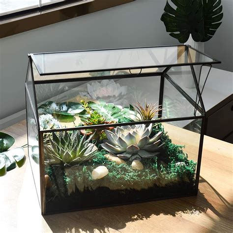 Product Of The Week Mini Greenhouse Terrariums