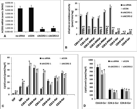 ACER3 Knockdown By RNAi Increases ULC Ceramides In Cells AD HeLa