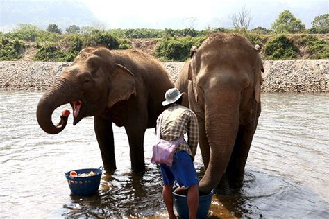 10 Things To Do In Chiang Mai Thailand David S Been Here