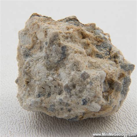 Conglomerate Sedimentary Rock - Mini Me Geology