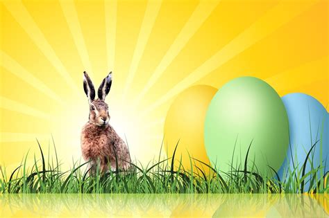 Explore 18486 Free Spring Rabbit Illustrations Download Now Pixabay
