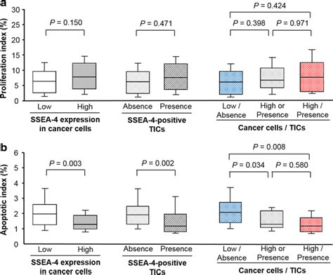 Correlation With Cancer Cell Proliferation A SSEA 4 Expression In