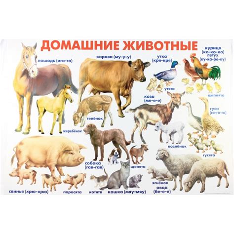 Развивающие плакаты - СПОРТИВНОЕ ДЕТСТВО