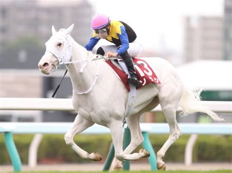 競馬初心者必見馬券予想🔥〜札幌記念〜北の大地でg1級の戦い！ ハムスターブログ🐹〜ハムハムしながら競馬と株を嗜む〜