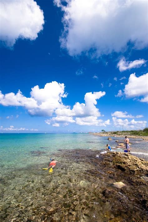 People Snorkeling At The Beach At Cozumel Mexico Stock Photo Image