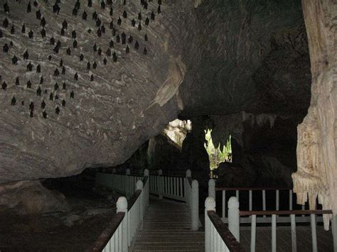 Langkawi Mangrove Tour Guide Explore Kilim Geoforest Park