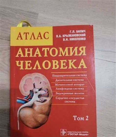 Атлас анатомии Билич 2 том | Festima.Ru - Мониторинг объявлений