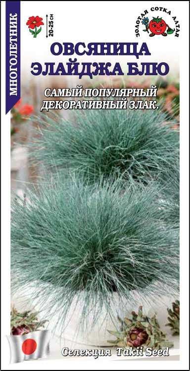 Золотая сотка алтая
