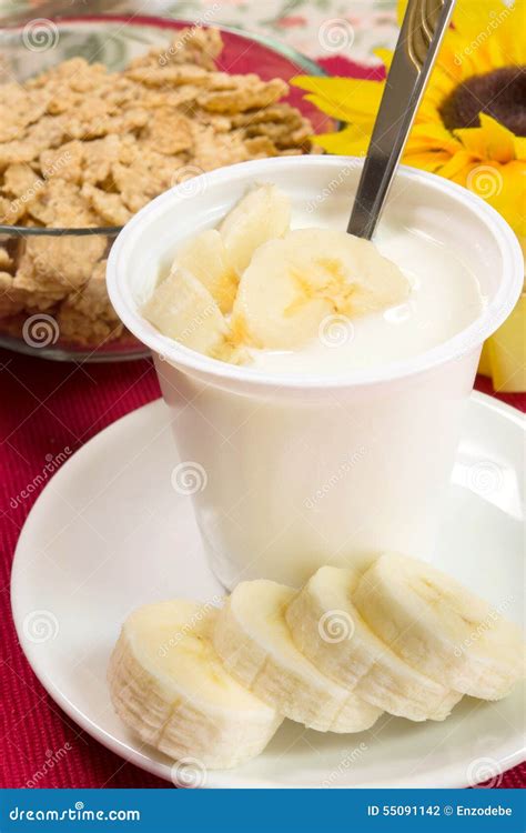 Yogurt With Banana Stock Photo Image Of Tropical Creamy 55091142