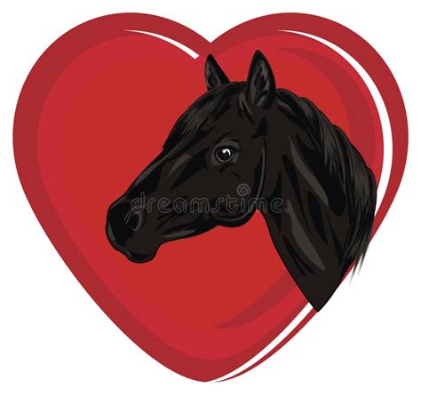 Horse Heart Stock Illustrations 6228 Horse Heart Stock Illustrations