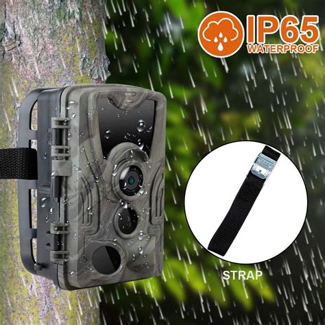 Фотоловушка Suntek HC 801A LIG 5000 mAh – TOX – інтернет магазин ...
