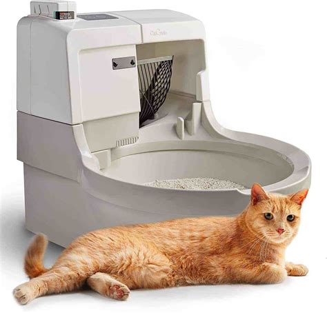 7 Best Automatic Litter Box For Self Cleaning