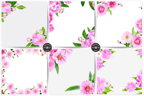 Pink Floral Beautiful Frame Borders Graphic By Hassas Arts Creative