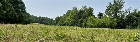 Port Tobacco Village Trail, Maryland - 30 Reviews, Map | AllTrails