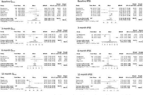 Figure 2 From Transperineal Laser Ablation For Benign Prostatic Enlargement A Systematic Review