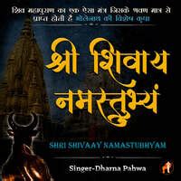 Shri Shivaya Namastubhyam Song Download: Play & Listen Shri Shivaya ...