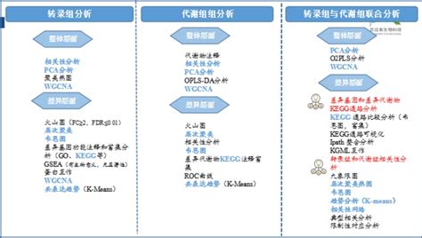 转录组代谢组联合分析 百迈客生物