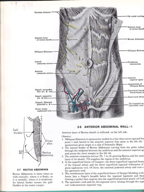 found archives chosen by KTHHPPPS: Images from GRANT'S ATLAS OF ANATOMY ...