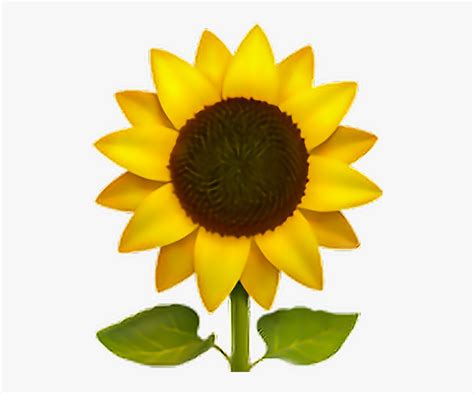 Sunflower Emoji Flower Sun Freeedit Iphone Cute Emoji Sunflower Hd