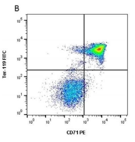 Tfr Transferrin R Antibody D Azide And Bsa Free Novus