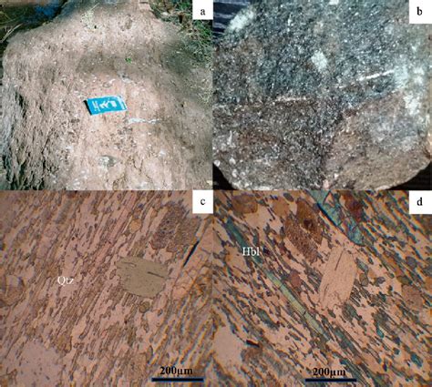 Exposure: (a) Amphibole schist, and microphotographs (c in PPL and d in ...