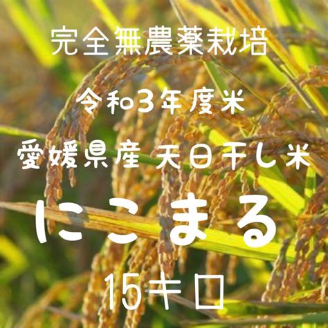 完全無農薬栽培 令和3年度米 愛媛県産にこまる 自然乾燥天日干し米20キロ 米