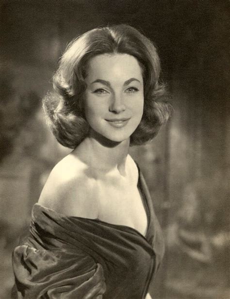 Npg X87932 Shirley Anne Field Large Image National Portrait Gallery