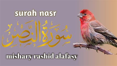 Surah Al Nasr The Divine Support Beautiful Recitation By Mishary