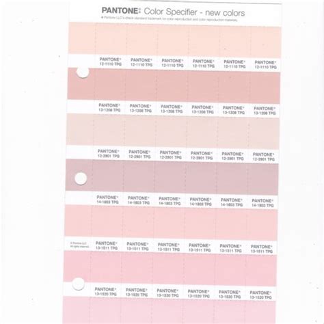 PANTONE 17 2127 TPG Shocking Pink Replacement Page Fashion Home