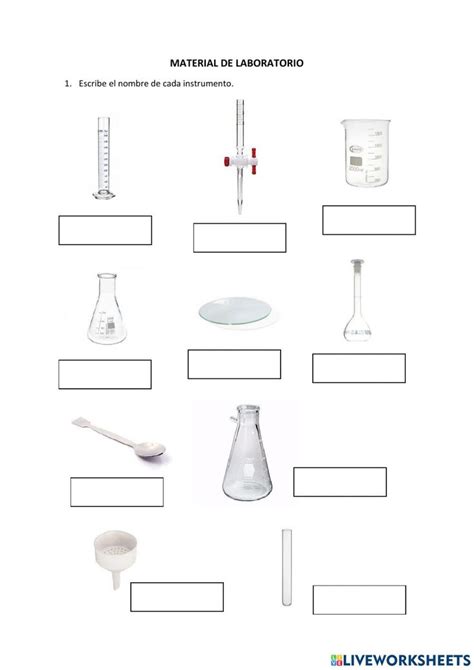 Material De Laboratorio Online Worksheet Materiales De Laboratorio