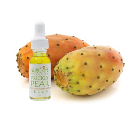 Organic Prickly Pear Seed Face Oil Natural Cactus Facial Etsy