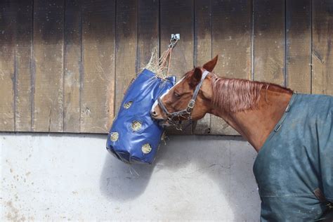 Slow Feed Hay Bags Hay Nets And Feeders For Horses Equiluxe Tack