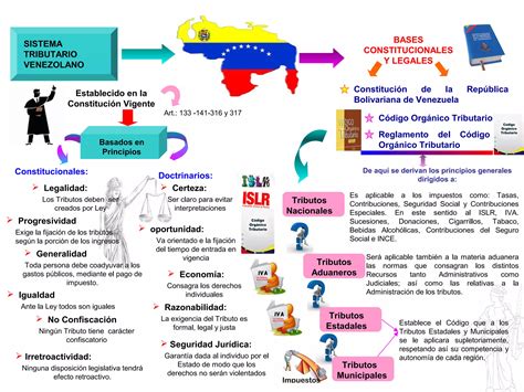 Mapa Mental Bases Constitucionales Ppt