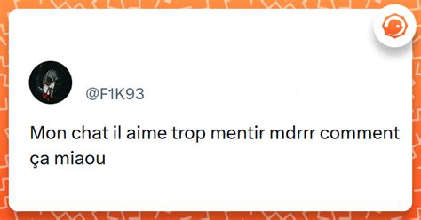 Le Comptwoir du 13 février 2024 les meilleurs tweets Twog