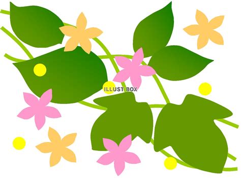 無料イラスト 葉っぱと小花