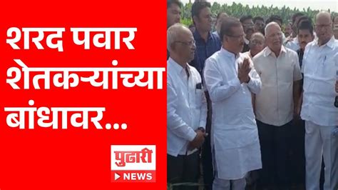 Pudhari News दिवाळीच्या सणानिमित्त शरद पवार शेतकऱ्यांच्या भेटीला Sharadpawar Youtube