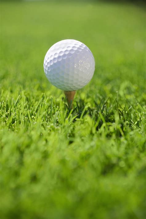 Golf Ball on tee in grass - StockFreedom - Premium Stock Photography