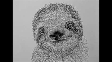 How To Draw A Sloth Easy Step By Step Youtube Sloth Drawing Sloth