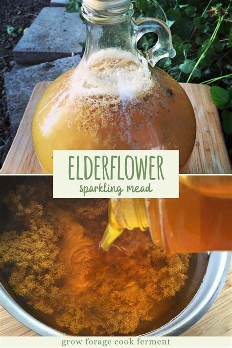 Elderflower Sparkling Mead Recipe Healthy Drinks Recipes Drinks