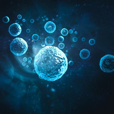 Clinical Application Of Umbilical Cord Mesenchymal Stem Cells Preserves