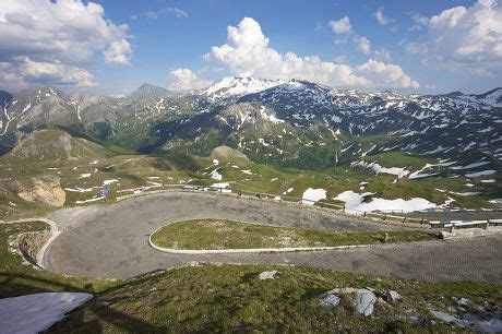 edelweiss spitze stock pictures editorial images  stock