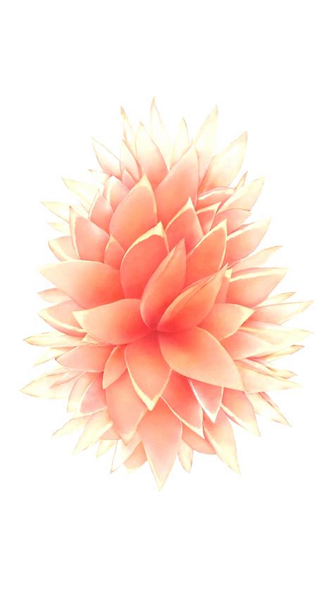 iPhone Se 2 Wallpapers - Wallpaper Cave