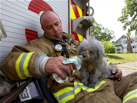 18 Photos Of Firefighters Saving Animals That Will Warm Your Heart