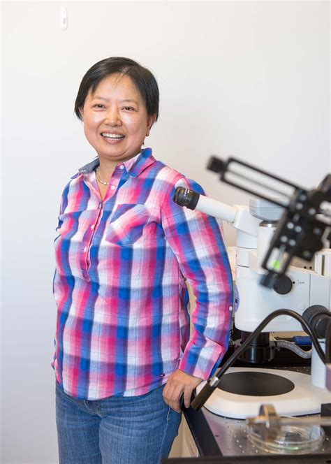 Xin Zhang Elected to National Academy of Inventors | The Brink | Boston ...