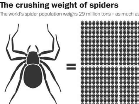 Spiders Could Eat Every Human On Earth In A Year If They Wanted To But