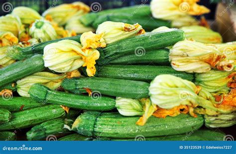 Zucchini With Flowers Stock Image Image Of Season Freshness 35123539