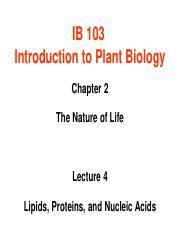 Understanding Lipids Proteins Nucleic Acids Key Concepts Course Hero