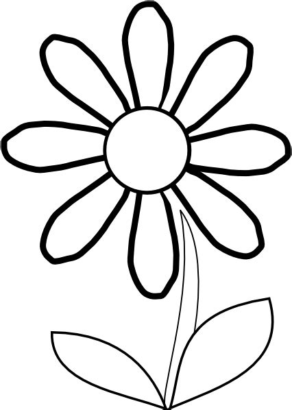 Daisy Flower Outline Free Download On Clipartmag