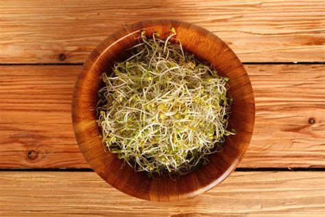 10 Great Health Benefits Of Broccoli Sprouts Health And Detox And Vitamins